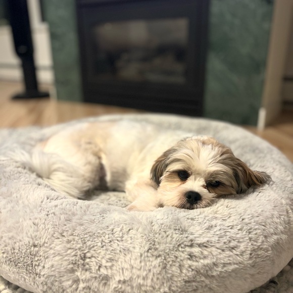 Meet your Posher, Monica - Picture 6 of 6